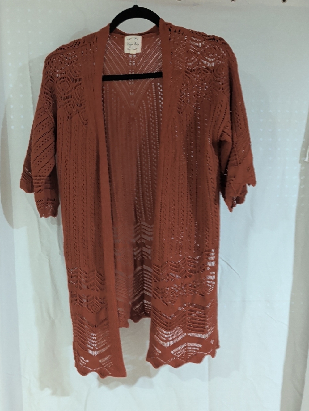 Hippie Rose Crochet Openwork Top in Rust